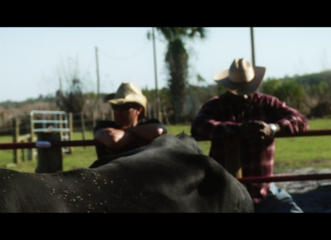 Ranch Scene – Phoenix Falling